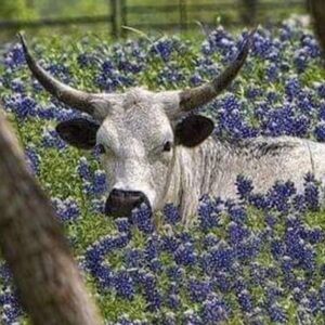 $10 OFF! New to poshmark? Use code @smcdsmith55 $10 off 1st purchase